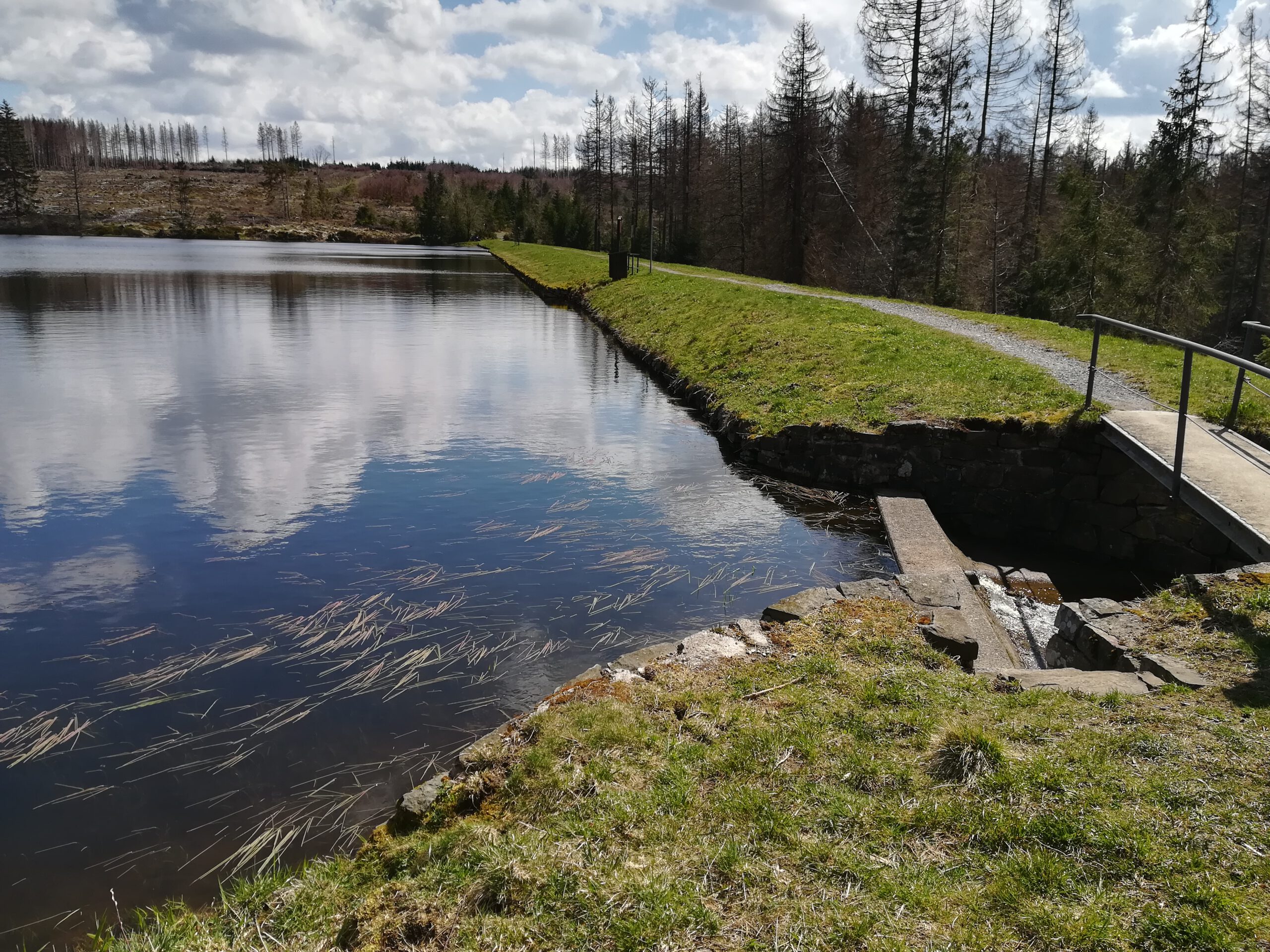 23.04.2023 > Wanderung um die Oberharzer Teiche und über die Bergwiesen