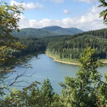 Wanderung: Goslar Steinberg - Margareten Klippe - Hahnenklee - Glockenberg - Goslar Steinberg