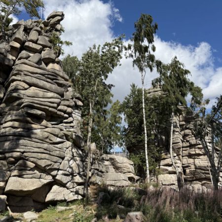 Wanderung: Elend - Helenenruh (21) - Schnarcherklippe (14) - Barenberg (20) und zurück