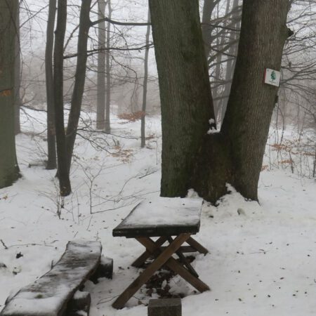 Wanderung: Zorge - Roter Schuß (90) - Wendeleiche (165) - Stiefmutter (164)